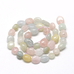 Morganite Chapelets de perles morganite naturelles  , ovale, 6~10x4~7x4~7mm, Trou: 1mm, Environ 43~62 pcs/chapelet, 15.7 pouce