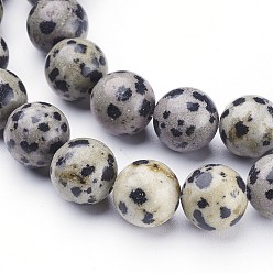 Dalmatian Jasper Natural Dalmatian Jasper Beads Strands, Round, 10mm, Hole: 1mm