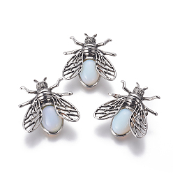 Opalite Opalite Brooches, with Brass Findings, Cicada, Antique Silver, 38x36x8mm, Pin: 0.6mm