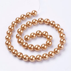 Chocolate Shell Pearl Beads Strands, Round, Chocolate, 10mm, Hole: 1mm, about 38pcs/strand, 15.7 inch