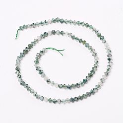 Moss Agate Natural Moss Agate Beads Strands, Bicone, 3.9~4x4mm, Hole: 0.8mm, about 99pcs/strand, 15.16 inch(38.5cm)