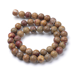 Red Rainbow Jasper Natural Red Rainbow Jasper Round Beads Strands, 6~6.5mm, Hole: 1mm, about 63pcs/strand, 15.5 inch