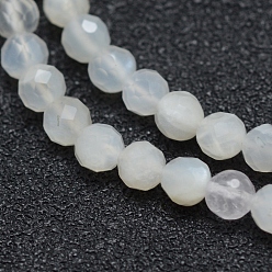 White Natural White Moonstone Beads Strands, Faceted, Round, White, 3mm, Hole: 0.5mm, about 113pcs/strand, 15.35 inch(39cm)