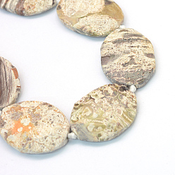 Light Yellow Faceted Oval Natural Ocean Jasper Beads Strands, Light Yellow, 39~56x30~45x7~11mm, Hole: 3mm, about 7~8pcs/strand, 15.7 inch