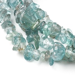 Apatite Natural Apatite Beads Strands, Chip, 5~13x3~8mm, Hole: 0.6mm, 33~33.4 inch(84~85cm)