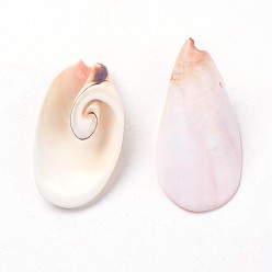 Seashell Color Natural Freshwater Shell Beads, Seashell Color, 30~45x15~25x10~15mm, Hole: 1mm, about 111pcs/500g
