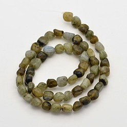 Labradorite Natural Labradorite Bead Strands, Tumbled Stone, Nuggets, 5~7X5~7mm, Hole: 1mm, about 15.7 inch