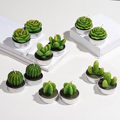 Green Cactus Paraffin Smokeless Candles, Artificial Succulents Decorative Candles, with Aluminium Containers, for Home Decoration, Green, 15.6x10.3x10.3cm, 12pcs/set