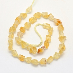 Citrine Rough Raw Natural Citrine Beads Strands, Grade A, Nuggets, 10~14x9~12mm, Hole: 1mm, about 37pcs/strand, 16.5 inch(41.9cm)