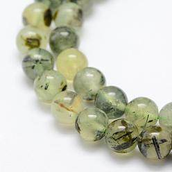 Prehnite Natural Prehnite Beads Strands, Round, Grade AB, 10mm, Hole: 1mm, about 39pcs/strand, 15.1 inch(38.5cm)