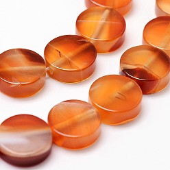 Cornaline Perles naturelles cornaline brins, teints et chauffée, plat rond, 12x4.5mm, trou: 1.2mm, environ 33 pcs/chapelet