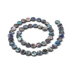 Colorful Natural Abalone Shell/Paua Shell Beads Strands, Flat Round, Colorful, 8x3mm, Hole: 0.5mm, about 48pcs/strand, 16 inch