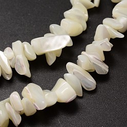 Creamy White Natural Trochid Shell/Trochus Shell Beads Strands, Shell Shards, Chip, Creamy White, 5~8x5~8mm, Hole: 1mm, 32 inch