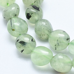 Prehnite Natural Prehnite Beads Strands, Tumbled Stone, Nuggets, 10~16x7~14mm, Hole: 0.8mm, about 25~35pcs/strand, 15.7 inch(40cm)