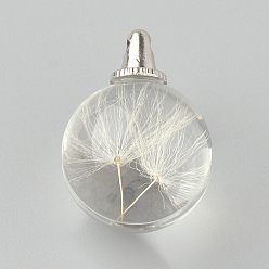 Platinum Round Alloy Glass Pendants, Cadmium Free & Lead Free, with Dried Dandelion Inside, For Dandelion Wish Necklaces Making, Platinum, 25~26x20mm, Hole: 1.5mm