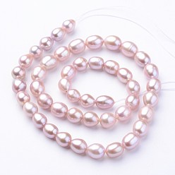 Plum Natural Cultured Freshwater Pearl Beads Strands, Oval, Plum, 7~8x7~8mm, Hole: 0.5mm, about 35~37pcs/strand, 13.98 inch(35.5cm)