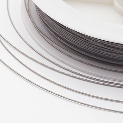 Raw Tiger Tail Wire, Nylon-coated Stainless Steel, Original Color(Raw), Raw, 0.5mm, about 114.82 Feet(35m)/roll