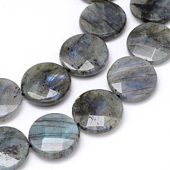 Labradorite Natural Labradorite Bead Strands, Faceted, Flat Round, 25x6mm, Hole: 1mm, about 16pcs/strand, 16 inch