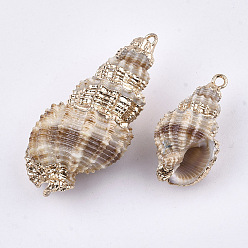 Blanc Antique Galvanoplastie en spirale coquille pendentifs, avec les accessoires en fer, or et de lumière, blanc antique, 26~42x13~20x12~17mm, Trou: 2mm