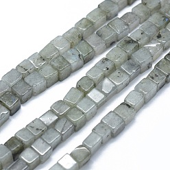 Labradorite Chapelets de perles labradorite naturelle , cube, 3~4.5x3~4.5x3~5mm, Trou: 0.8~1mm, Environ 89~97 pcs/chapelet, 15.1~15.5 pouce (38.5~39.5 cm)