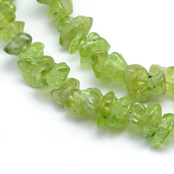 Peridot Natural Peridot Beads Strands, Grade A, Chip, 5~8mm, Hole: 1mm, about 33 inch(84cm)