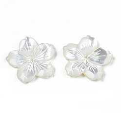 White Shell Natural White Shell Beads, Flower, 23.5~24x24.5~25x2~5mm, Hole: 1mm