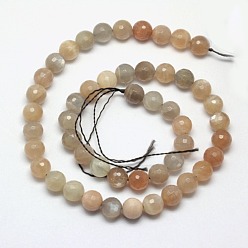 Multi-Moonstone Natural Multi-Moonstone Beads Strands, Faceted, Round, 6mm, Hole: 1mm, about 65pcs/strand, 15.7 inch