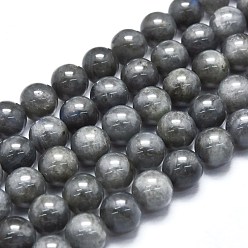 Larvikite Chapelets de perles labradorite naturelle , ronde, 8~8.5mm, Trou: 0.8mm, Environ 48 pcs/chapelet, 15.35 pouce (39 cm)