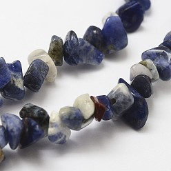 Blue Natural Sodalite Beads Strands, chip, Blue, 3~5x7~13x2~4mm, Hole: 0.4mm, 31.5 inch