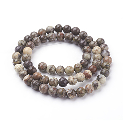 Ocean Jasper Natural Gemstone Beads Strands, Ocean Jasper, Dyed, Round, Brown, 6mm, Hole: 1mm, 15.7 inch, about 60pcs/strand