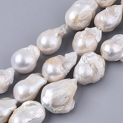 Coquillage De Mer Perle baroque naturelle perles de perles de keshi, perle de culture d'eau douce, larme, couleur de coquillage, 15~30x13~23x13~15mm, Trou: 0.6mm, Environ 20 pcs/chapelet, 15.75 pouce (40 cm)