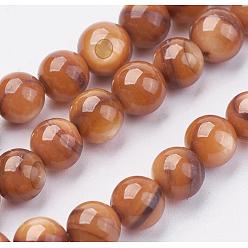 Chocolat Chapelets de perles de coquillage, teint, ronde, chocolat, 6~7mm, Trou: 1mm, Environ 64 pcs/chapelet, 15.74 pouce (40 cm)