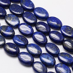 Lapis Lazuli Natural Lapis Lazuli Oval Bead Strands, Dyed, 14x10x5mm, Hole: 1mm, about 28pcs/strand, 15.3 inch