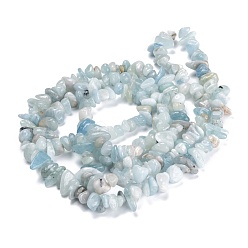 Aquamarine Natural Aquamarine Beads Strands, Chip, 3~16x3~8mm, Hole: 0.7mm, 32.28''(82cm)