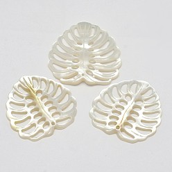 White Natural Mother of Pearl Shell Pendants, Tropical Leaf Charms, Monstera Leaf, White, 28~31x28~30x2~3.5mm, Hole: 1.5~2mm