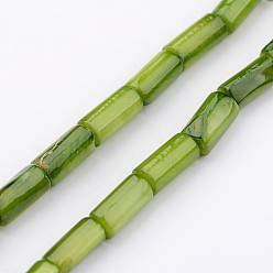 Vert Jaune Shell normal de perles brins, teint, colonne, vert jaune, 8x4mm, Trou: 0.5mm, Environ 50 pcs/chapelet, 15.7 pouce