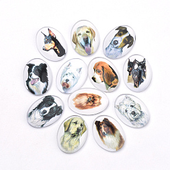 Mixed Color Puppy Photo Flatback Glass Cabochons, for DIY Projects, Dog Pattern, Oval, Mixed Color, 25x18x5.5mm