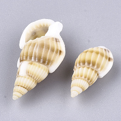 Peru Natural Spiral Shell Beads, No Hole,, Peru, 10~20x5~10x5~10mm, about 1700pcs/500g