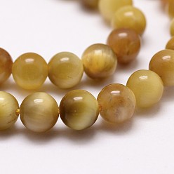 Or Tigre naturel rangées de perles d'oeil, teints et chauffée, ronde, or, 6mm, Trou: 1mm, Environ 61 pcs/chapelet, 14.9 pouces ~ 15.1 pouces