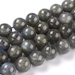 Labradorite Natural Gemstone Labradorite Round Beads Strands, 12mm, Hole: 1mm, about 32pcs/strand, 15.5 inch