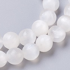 Selenite Natural Selenite Beads Strands, Round, 6mm, Hole: 0.8mm, about 68pcs/strand, 15.94 inch(40.5cm)