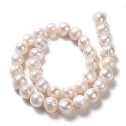 Bisque Natural Cultured Freshwater Pearl Beads Strands, Potato, Bisque, 10~11x9.5~12mm, Hole: 0.6mm, about 34pcs/strand, 13.98 inch(35.5cm)