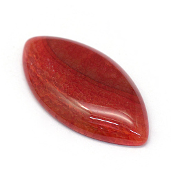 Red Horse Eye Dyed Natural Crackle Agate Cabochons, Red, 37~40x20~21x5~8mm