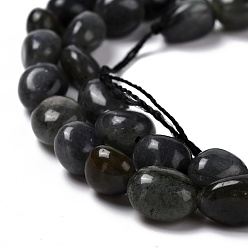 Larvikite Natural Larvikite Beads Strands, Tumbled Stone, Nuggets, 7.5~9x7.5~8x3.5~6mm, Hole: 1mm, about 44pcs/strand, 15.16~15.75 inch(38.5~40cm)