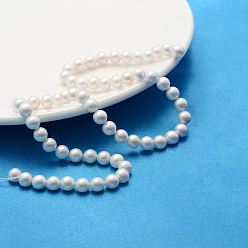 White Polished Shell Pearl Round Beads Strands, Nice for Mother's Day Necklace Making, Grade A, White, 6mm, Hole: 0.5mm, about 61pcs/strand