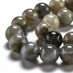 Labradorite Natural Labradorite Beads Strands,  Round, 8mm, Hole: 1mm
