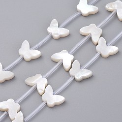White Shell Natural White Shell Mother of Pearl Shell Beads, Butterfly, 7x10x2mm, Hole: 0.5mm