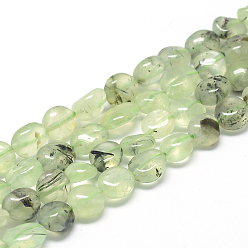 Prehnite Perles naturelles préhnite brins, ovale, 8~15x7~12x4~12mm, trou: 1mm, environ 30~45 pcs/chapelet, 15.7
