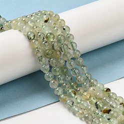 Prehnite Perles naturelles préhnite brins, ronde, 6mm, Trou: 0.8mm, Environ 62~65 pcs/chapelet, 15.3 pouce