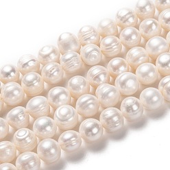 Bisque Natural Cultured Freshwater Pearl Beads Strands, Potato, Bisque, 10~11x9.5~12mm, Hole: 0.6mm, about 34pcs/strand, 13.98 inch(35.5cm)